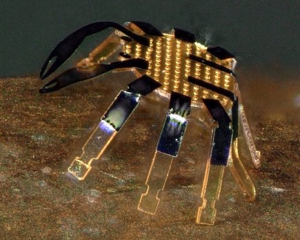 investigadores desarrollan el robot andante por control remoto más pequeño del mundo