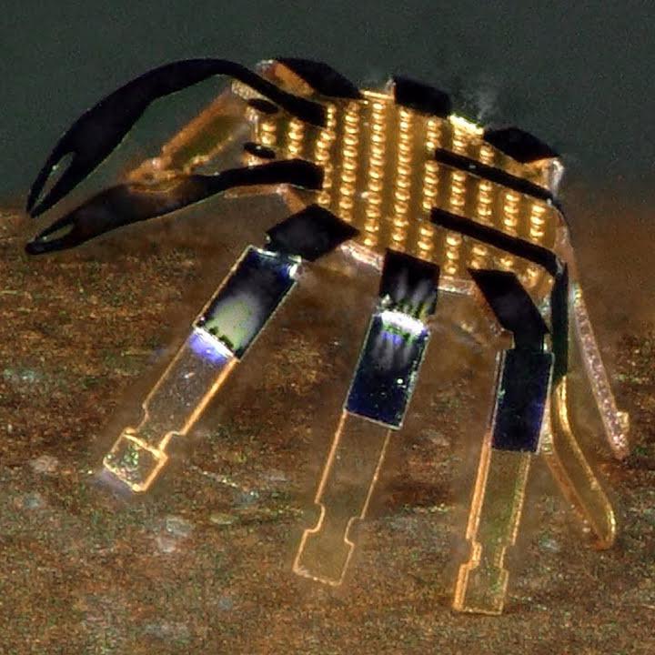 investigadores desarrollan robot camina mas pequeno mundo