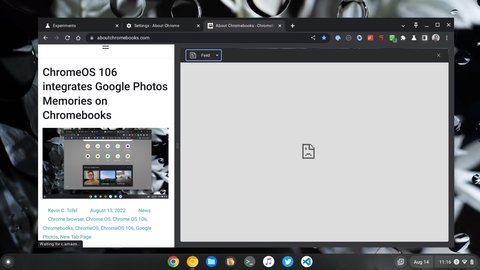 lector chrome