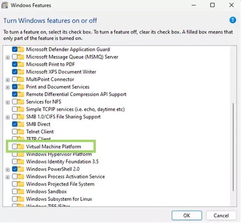 windows 2