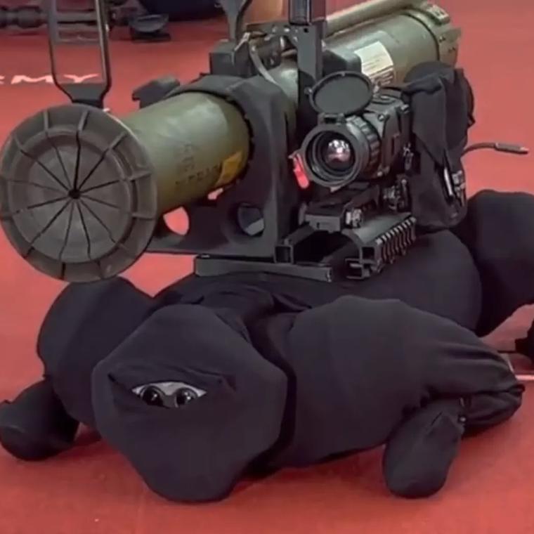 perro robot ninja rusia