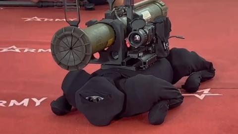 perro robot ninja rusia