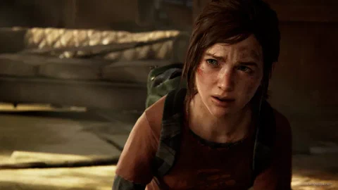 the last of us