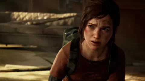 the last of us