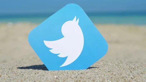 twitter despidos