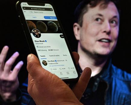 elon musk suspende cuentas identidad