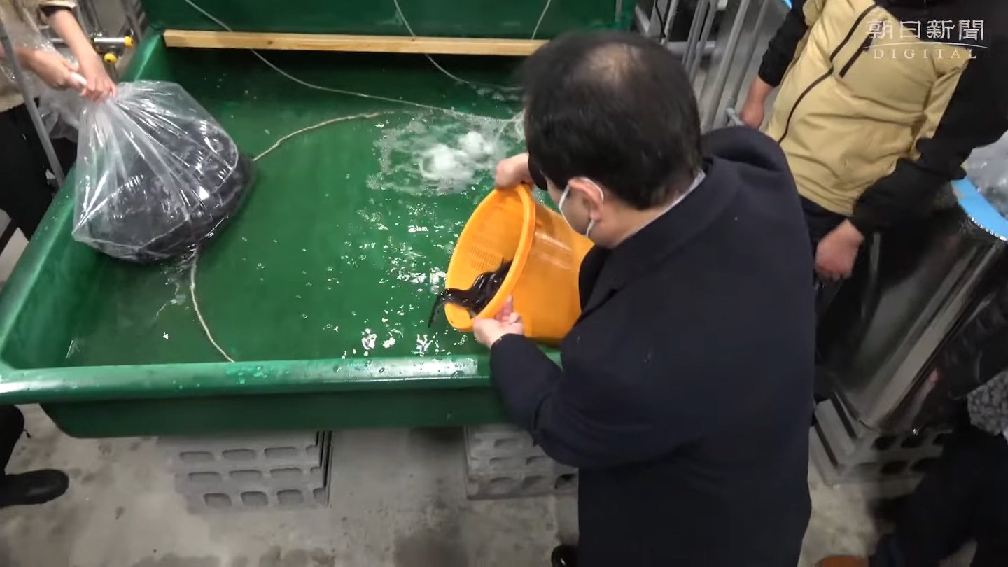 un centro datos japones utiliza calor residual criar anguilas