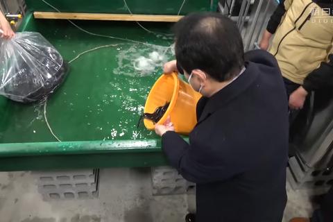 un centro datos japones utiliza calor residual criar anguilas