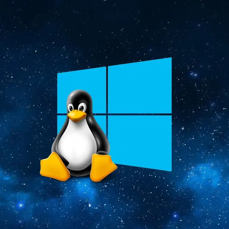 windows wsl microsoft store