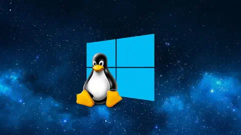 windows wsl microsoft store