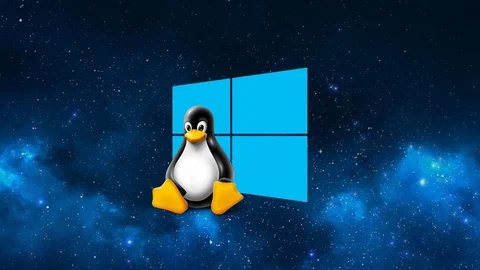 windows wsl microsoft store