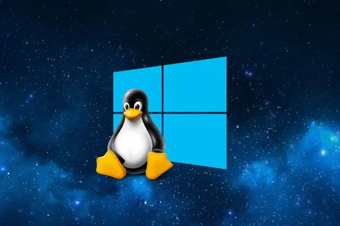 windows wsl microsoft store
