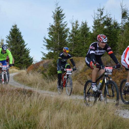 sava bikes
