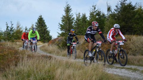 sava bikes