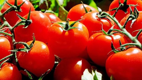 aceite mercadona licopeno