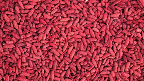 mi opinión sobre la levadura roja de arroz de mercadona ¿ qué es?