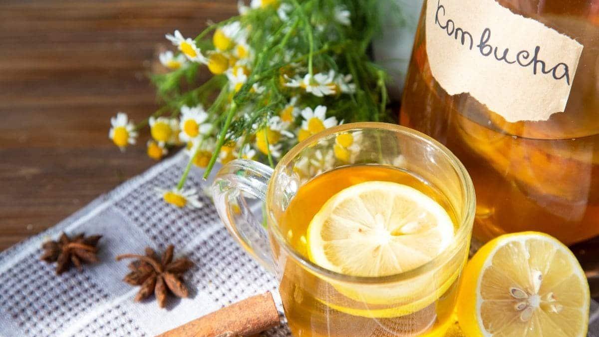 te kombucha