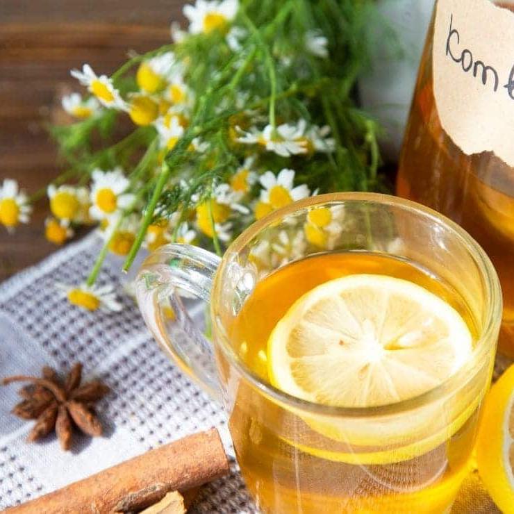 te kombucha