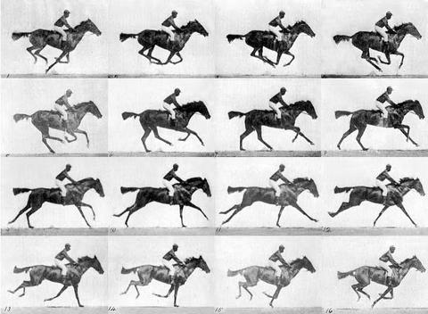 primera pelicula the horse in motion