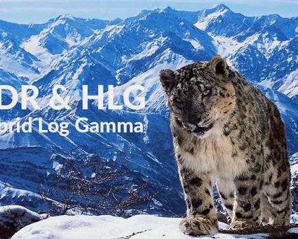 bbc hybrid log gamma hlg hdr