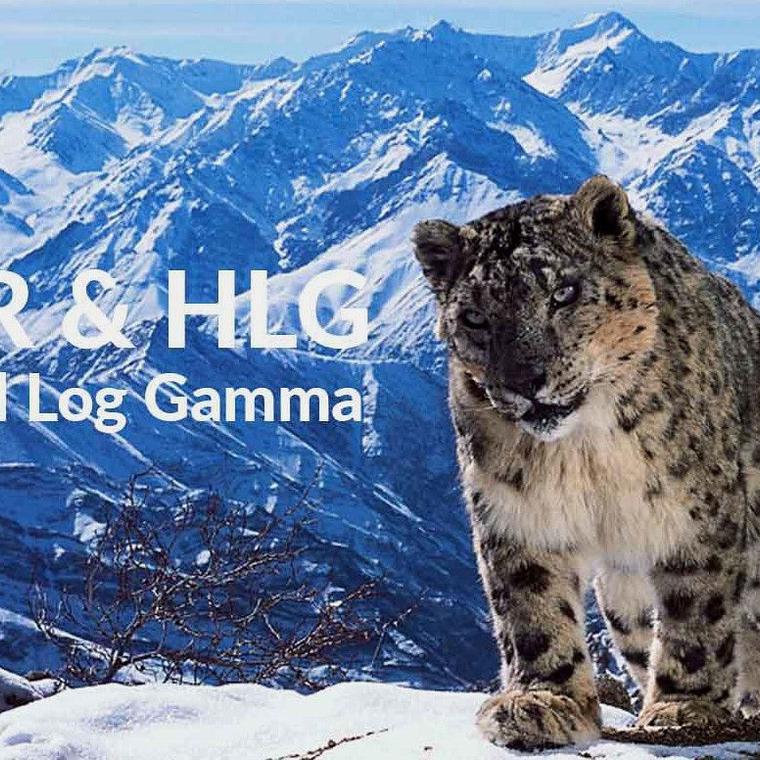 bbc hybrid log gamma hlg hdr