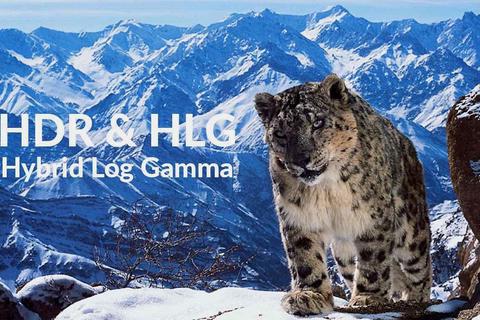 bbc hybrid log gamma hlg hdr