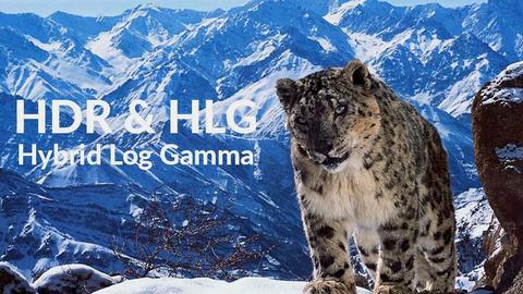 bbc hybrid log gamma hlg hdr