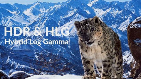 bbc hybrid log gamma hlg hdr