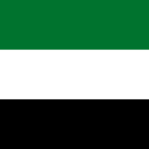 bandera emiratos arabes unidos